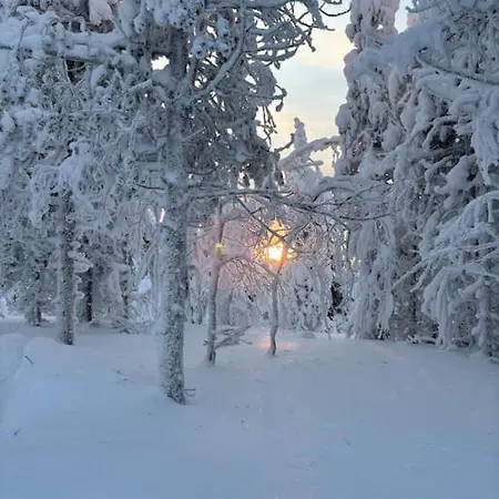 Aurora Glow Huoneisto
